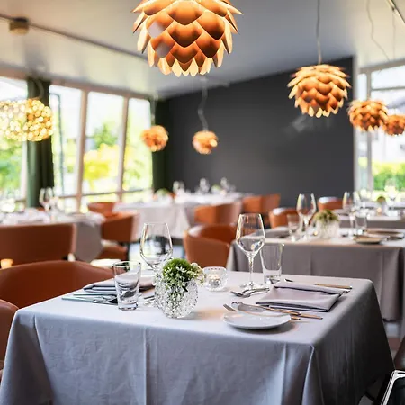 Freiberg Romantikhotel Otel 4*